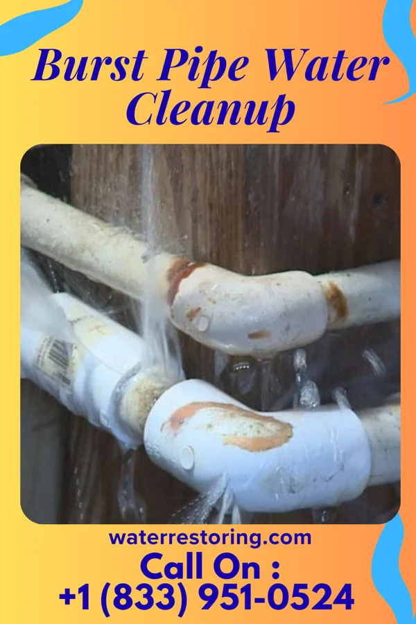 Burst Pipe Water Cleanup in West Mansfield, OH