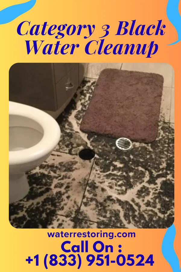 Category 3 Black Water Cleanup in West Mansfield, OH