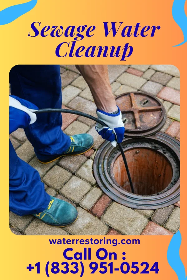 Sewage Water Cleanup in West Mansfield, OH