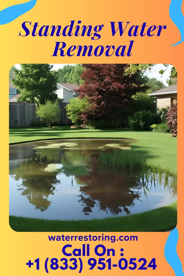 Standing Water Removal in West Mansfield, OH